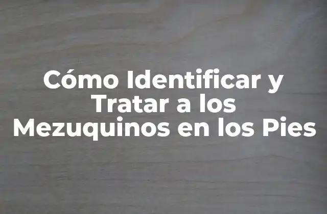 Cómo Identificar y Tratar a los Mezuquinos en los Pies