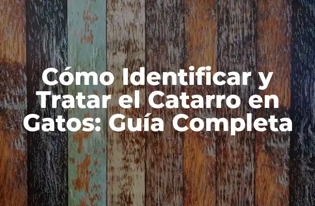 Cómo Identificar y Tratar el Catarro en Gatos: Guía Completa