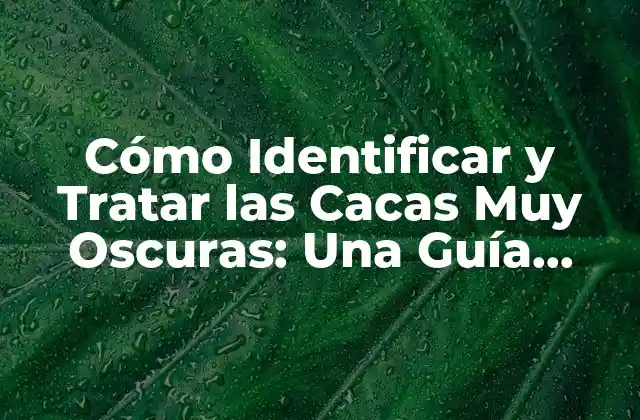 Cómo Identificar y Tratar las Cacas Muy Oscuras: una Guía Completa