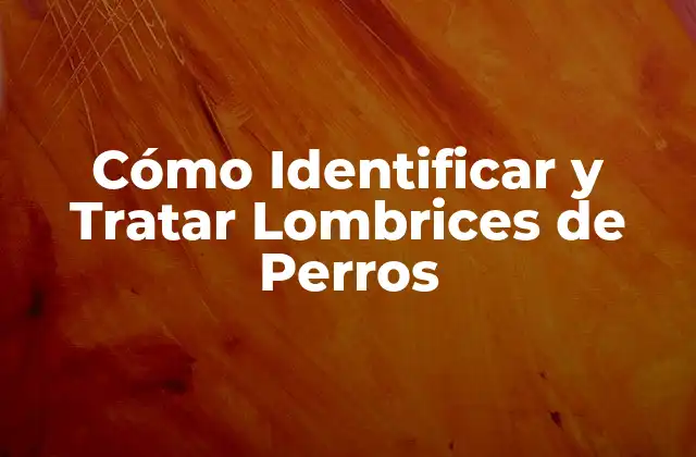 Cómo Identificar y Tratar Lombrices de Perros