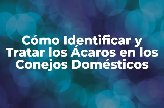 Cómo Identificar y Tratar los Ácaros en los Conejos Domésticos