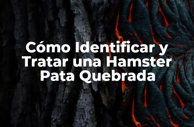 Cómo Identificar y Tratar una Hamster Pata Quebrada