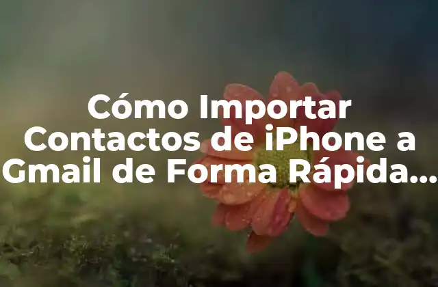 Cómo Importar Contactos de Iphone a Gmail de Forma Rápida y Segura