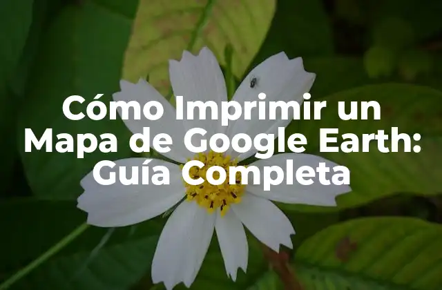 Cómo Imprimir un Mapa de Google Earth: Guía Completa
