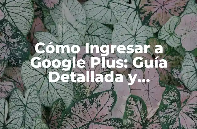 Cómo Ingresar a Google Plus: Guía Detallada y Actualizada