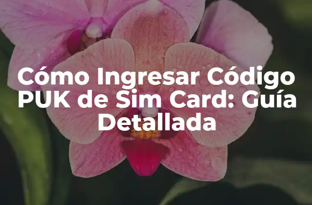 Cómo Ingresar Código Puk de Sim Card: Guía Detallada