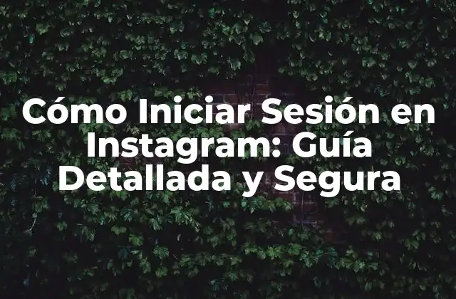 Cómo Iniciar Sesión en Instagram: Guía Detallada y Segura
