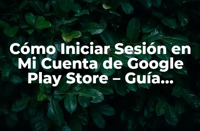 Cómo Iniciar Sesión en Mi Cuenta de Google Play Store - Guía Completa 2 Requisitos Previos para Iniciar Sesión en la Google Play Store