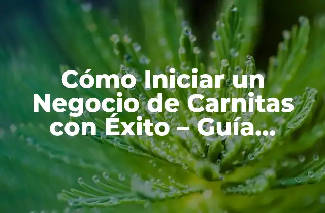 Cómo Iniciar un Negocio de Carnitas con Éxito – Guía Completa
