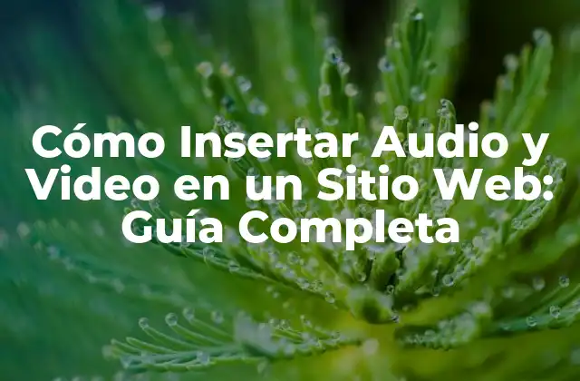 Cómo Insertar Audio y Video en un Sitio Web: Guía Completa
