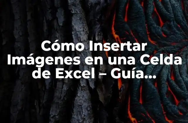 Cómo Insertar Imágenes en una Celda de Excel – Guía Detallada