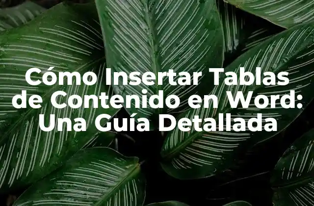 Cómo Insertar Tablas de Contenido en Word: una Guía Detallada