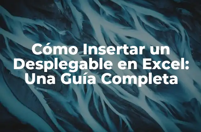 Cómo Insertar un Desplegable en Excel: una Guía Completa