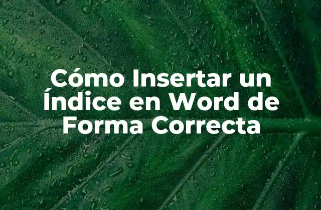 Ventajas de Insertar un Índice en Word