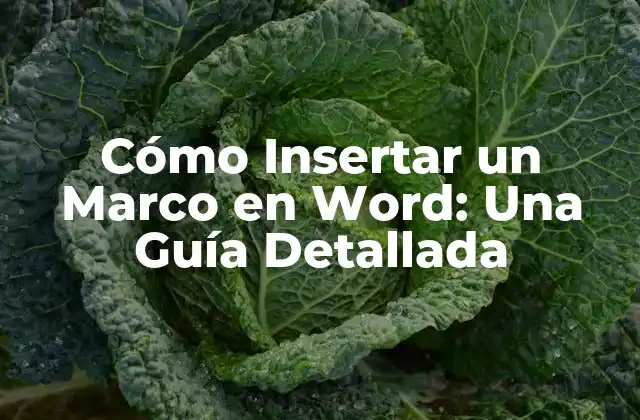 Cómo Insertar un Marco en Word: una Guía Detallada 2 Beneficios de Insertar Marcas en Word