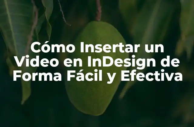 Cómo Insertar un Video en Indesign de Forma Fácil y Efectiva