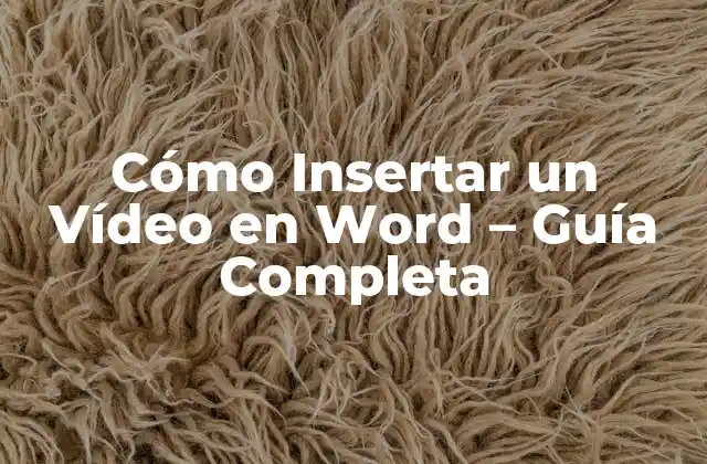 Cómo Insertar un Vídeo en Word – Guía Completa