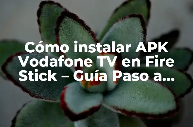 Cómo Instalar Apk Vodafone Tv en Fire Stick – Guía Paso a Paso