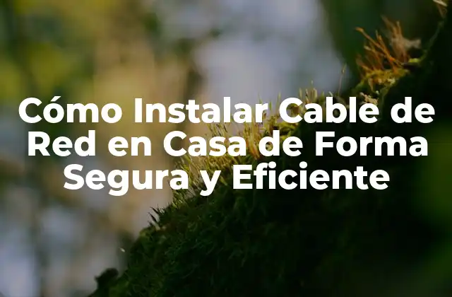 Cómo Instalar Cable de Red en Casa de Forma Segura y Eficiente