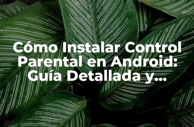Cómo Instalar Control Parental en Android: Guía Detallada y Segura