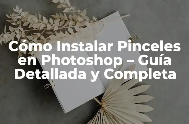 Cómo Instalar Pinceles en Photoshop – Guía Detallada y Completa