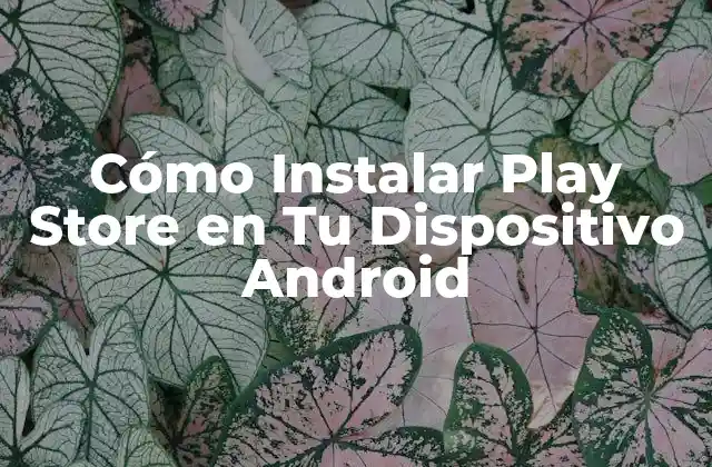 Cómo Instalar Play Store en Tu Dispositivo Android