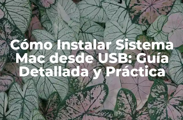 Cómo Instalar Sistema Mac desde Usb: Guía Detallada y Práctica