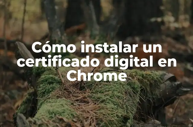 Cómo Instalar un Certificado Digital en Chrome