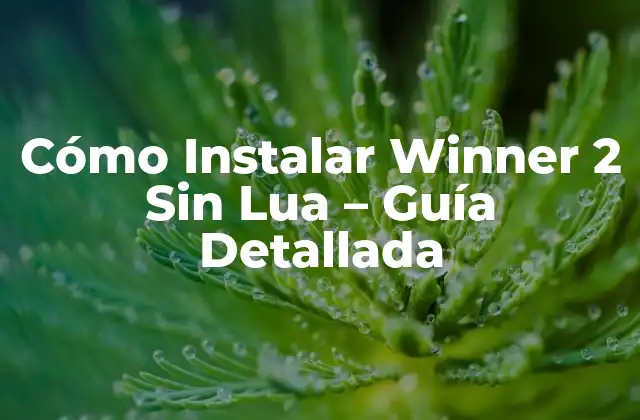 Cómo Instalar Winner 2 sin Lua - Guía Detallada 2 ¿Qué es Lua y por qué se requiere para Winner 2?