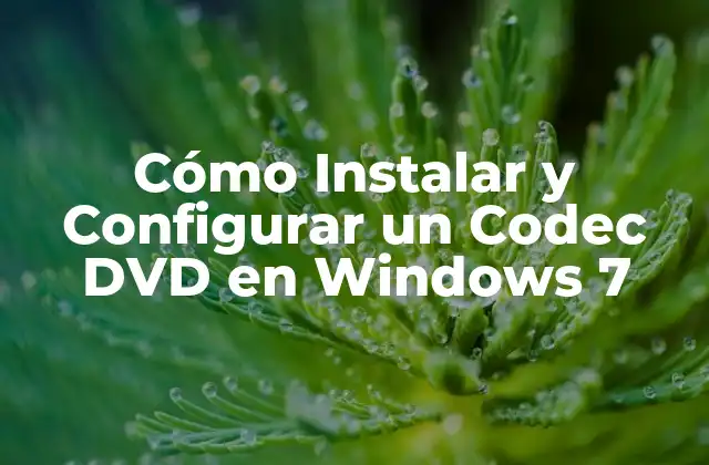 Cómo Instalar y Configurar un Codec Dvd en Windows 7