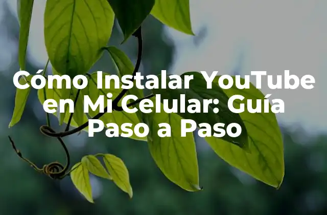 Cómo Instalar Youtube en Mi Celular: Guía Paso a Paso