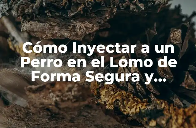 Cómo Inyectar a un Perro en el Lomo de Forma Segura y Efectiva