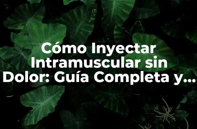 Cómo Inyectar Intramuscular sin Dolor: Guía Completa y Segura