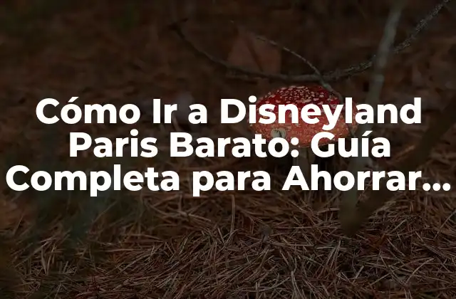Cómo Ir a Disneyland Paris Barato: Guía Completa para Ahorrar Dinero
