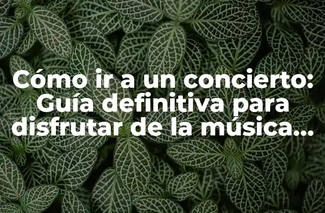 Cómo Ir a un Concierto: Guía Definitiva para Disfrutar de la Música en Vivo