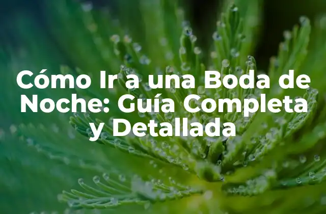 Preparación para una Boda de Noche: Lo que Necesitas Saber