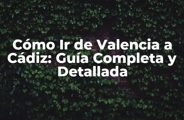 Cómo Ir de Valencia a Cádiz: Guía Completa y Detallada