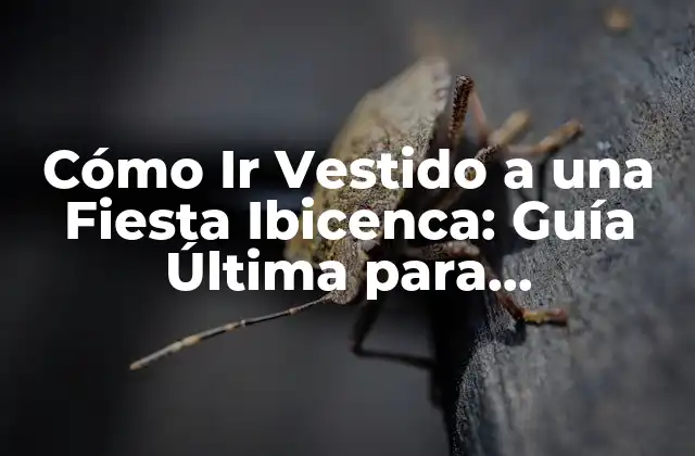 Cómo Ir Vestido a una Fiesta Ibicenca: Guía Última para Impresionar