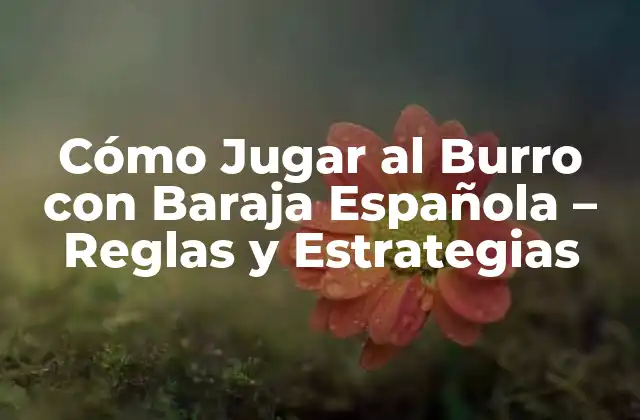 Cómo Jugar Al Burro con Baraja Española - Reglas y Estrategias 2 ¿Cuántos Jugadores Necesitan para Jugar al Burro?