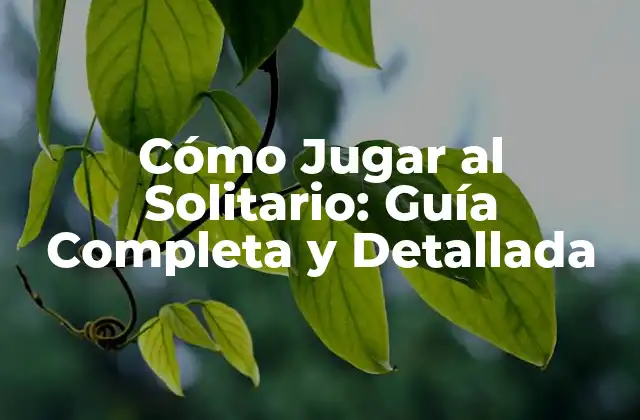 Cómo Jugar Al Solitario: Guía Completa y Detallada