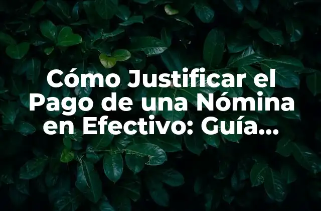 Cómo Justificar el Pago de una Nómina en Efectivo: Guía Completa