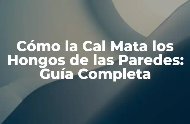 Cómo la Cal Mata los Hongos de las Paredes: Guía Completa 2 ¿Qué son los Hongos en las Paredes y Cómo se Propagan?