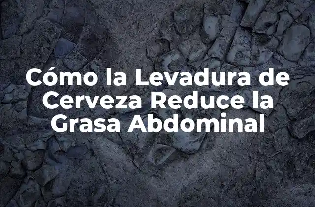 Cómo la Levadura de Cerveza Reduce la Grasa Abdominal