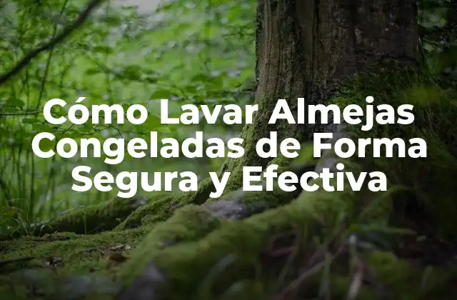 Cómo Lavar Almejas Congeladas de Forma Segura y Efectiva