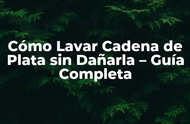 Cómo Lavar Cadena de Plata sin Dañarla – Guía Completa