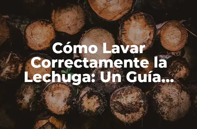 Cómo Lavar Correctamente la Lechuga: un Guía Detallada