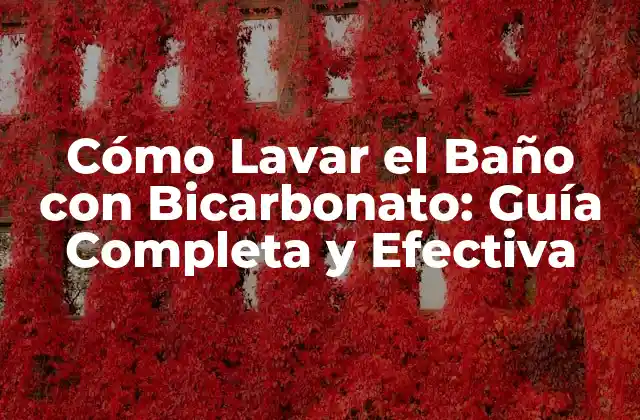 Cómo Lavar el Baño con Bicarbonato: Guía Completa y Efectiva