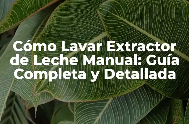 Cómo Lavar Extractor de Leche Manual: Guía Completa y Detallada