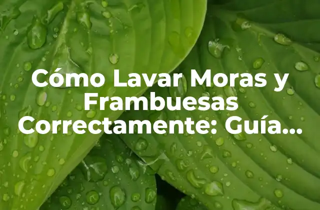 Cómo Lavar Moras y Frambuesas Correctamente: Guía Detallada