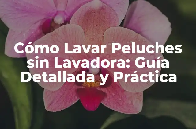 Cómo Lavar Peluches sin Lavadora: Guía Detallada y Práctica